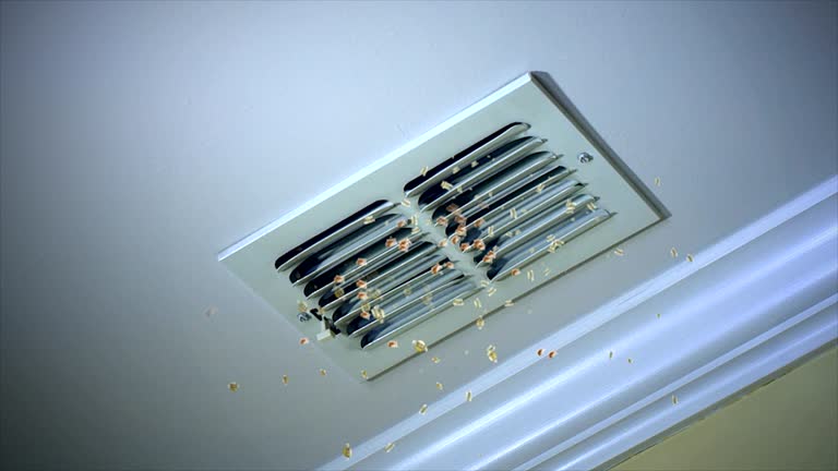 Best HVAC Air Duct Cleaning  in Whittingham, NJ