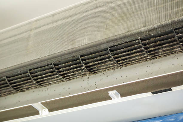 Best Air Duct Cleaning Near Me  in Whittingham, NJ
